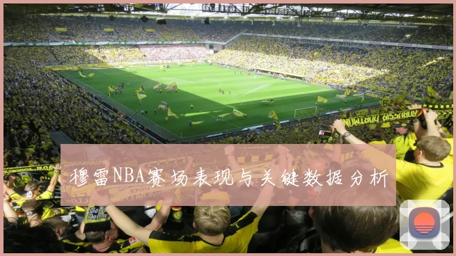 穆雷NBA赛场表现与关键数据分析